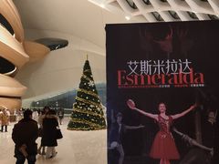 -哈尔滨大剧院