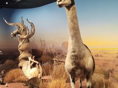 -陕西自然博物馆