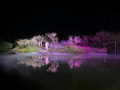 -常德桃花源景区