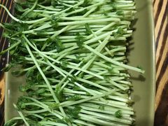 豆苗-顺德哥卜卜贝(旗舰店)