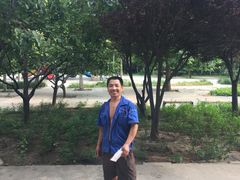 -和平搬家公司