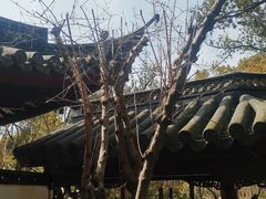-汇龙潭