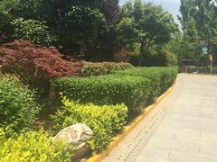 -西安汉城湖景区