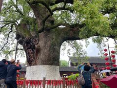 -新安江山水画廊风景区