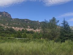 -天鹅湖生态旅游风景区