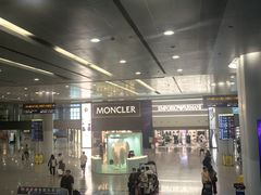 -上海浦东国际机场-T2航站楼