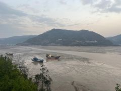 -北岐滩涂