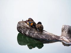 -颐和园