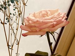 -黄浦区瑞金二路社区文化活动中心