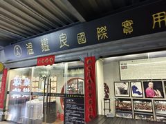 -温鉴良实用咏春拳