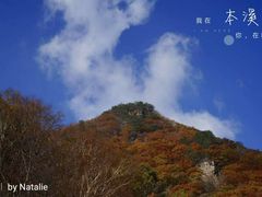 -龙道沟景区