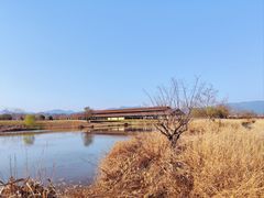 -良渚古城遗址公园