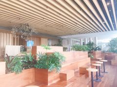 -Seesaw Coffee(朝阳大悦城店)