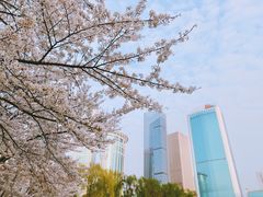 -西北湖绿化广场