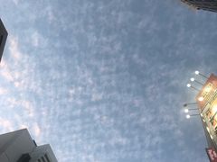 -秋叶原电器街