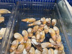 -德天肥牛海鲜火锅(龙吟坊店)