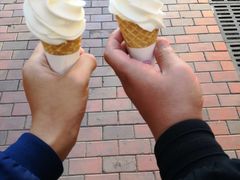 -蜜雪冰城(东西区季海红饮品店)
