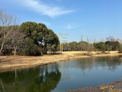 -梁鸿国家湿地公园