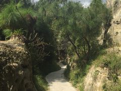 -彩色沙林风景区