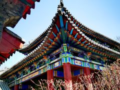 -碑林公园