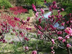 -大兴滨河森林公园