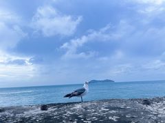 -摩天岭风景区