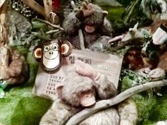 -济州岛泰迪熊博物馆