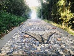 -菊花台公园