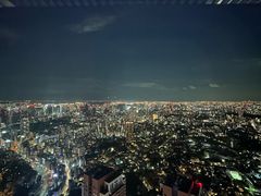 -六本木新城展望台(东京城市景观)