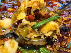 -胖子鱼·天水麻辣鱼火锅(秦州407店)