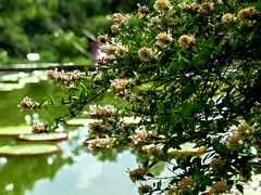 -国家植物园南园