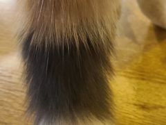 -平行世界·猫咖(首经贸店)
