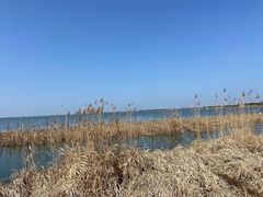 -莲花岛景区