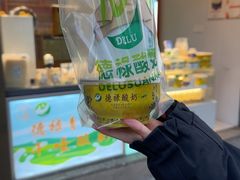 -德禄酸奶(莫家街店)