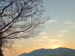 -长广溪湿地公园