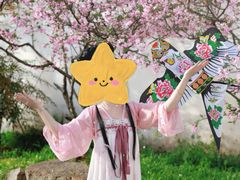 -苏州上方山国家森林公园