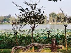 -艾溪湖湿地公园