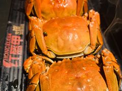 -红盔甲·小龙虾(人民广场店)