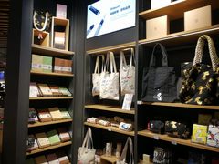 -九木杂物社(恒隆广场店)