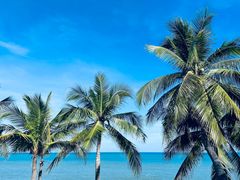 -三亚南山文化旅游区