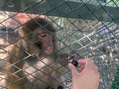 -水上乐园·欢乐世界