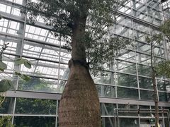 -南山植物园