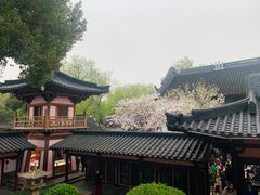 -寒山寺