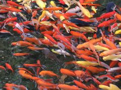 -水磨沟公园