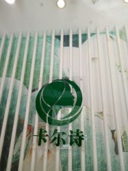 -卡尔诗·科技美肤连锁
