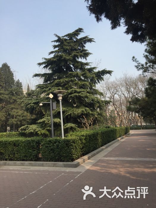 会城门公园图片 - 第15张