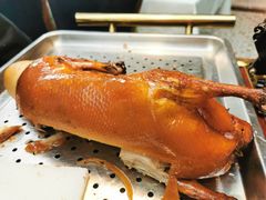 -陶苏·品味融合川菜(龙湖源著天街店)