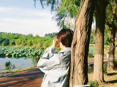 -丁香湖公园