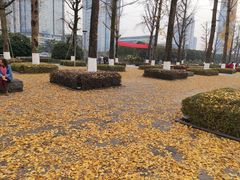 -百林公园-两江幸福广场