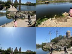 -前关湿地公园